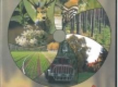 Znane i nieznane oblicza lasu