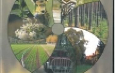 Znane i nieznane oblicza lasu