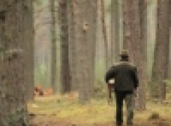 Nowelizacja – odsłona trzecia