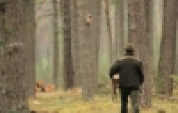 Nowelizacja – odsłona trzecia