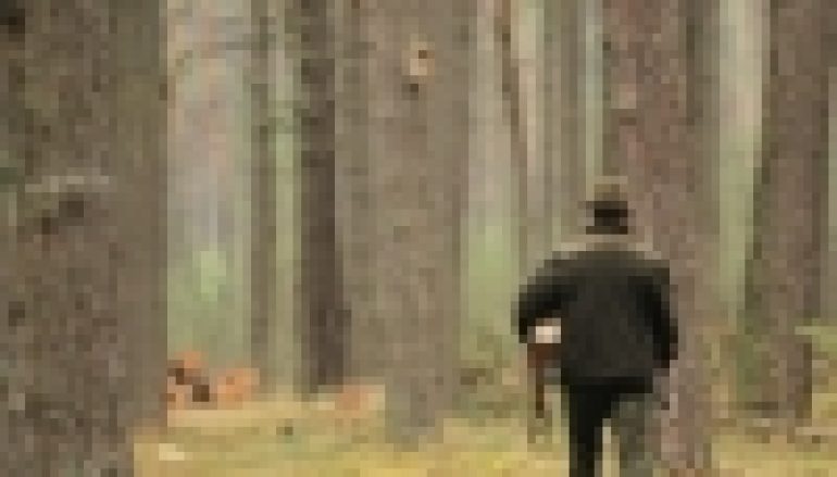 Nowelizacja – odsłona trzecia