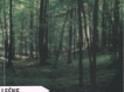 Leśne trasy rekreacyjne