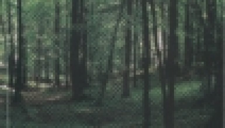 Leśne trasy rekreacyjne