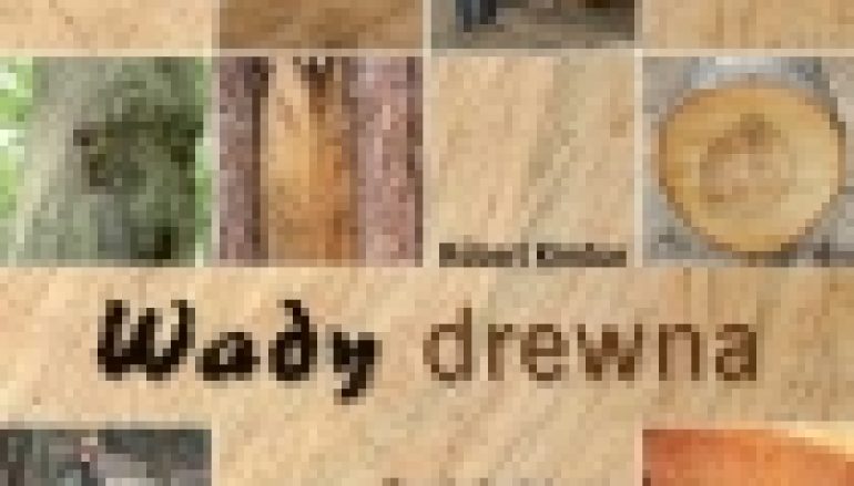 Wady drewna