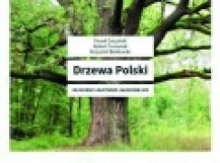Drzewa Polski