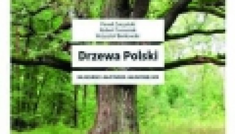 Drzewa Polski
