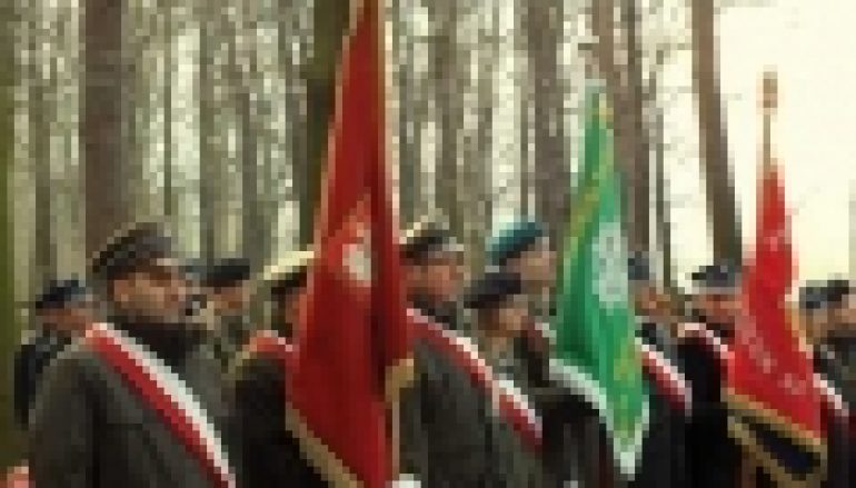 100 lat temu w łódzkich lasach – Największa bitwa