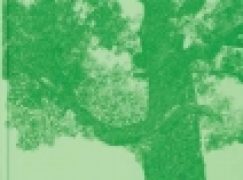 Drzewa – pomniki przyrody