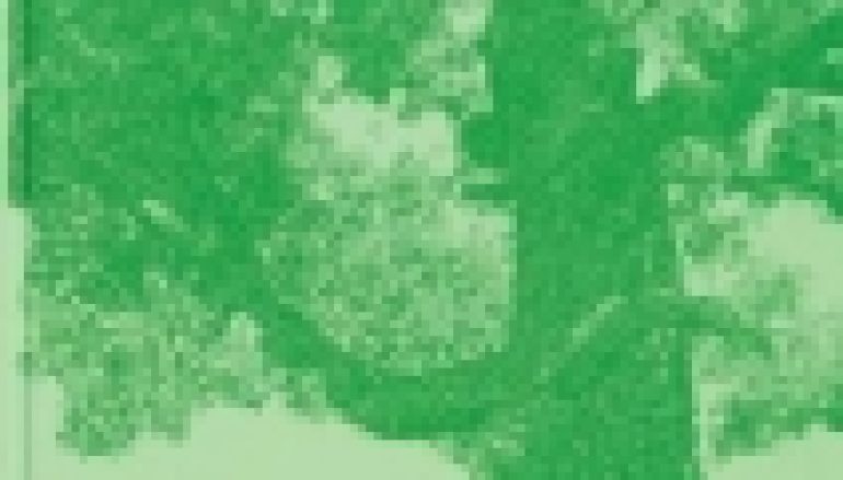 Drzewa – pomniki przyrody