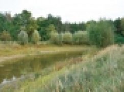 Melioracje po nowemu (7/2019)