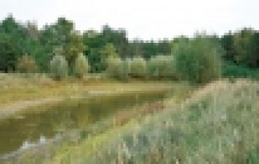 Melioracje po nowemu (7/2019)