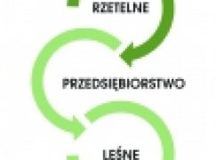 RDLP w Gdańsku – Ruszył audyt RPL