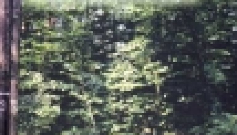 Begründung und Entwicklung stabiler Forstökosysteme…