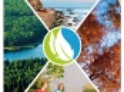 Nagroda Magellana – Leśna aplikacja doceniona