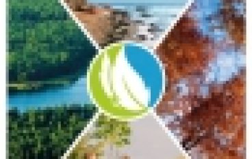 Nagroda Magellana – Leśna aplikacja doceniona