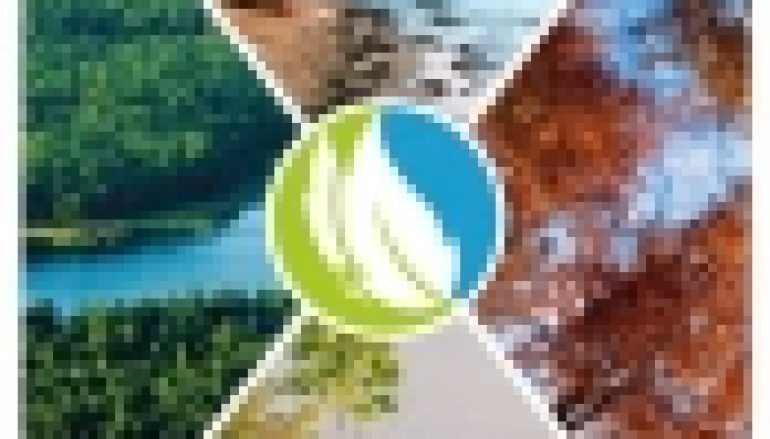 Nagroda Magellana – Leśna aplikacja doceniona