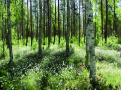 Z zagranicy 15-16/2016