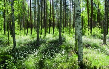 Z zagranicy 15-16/2016