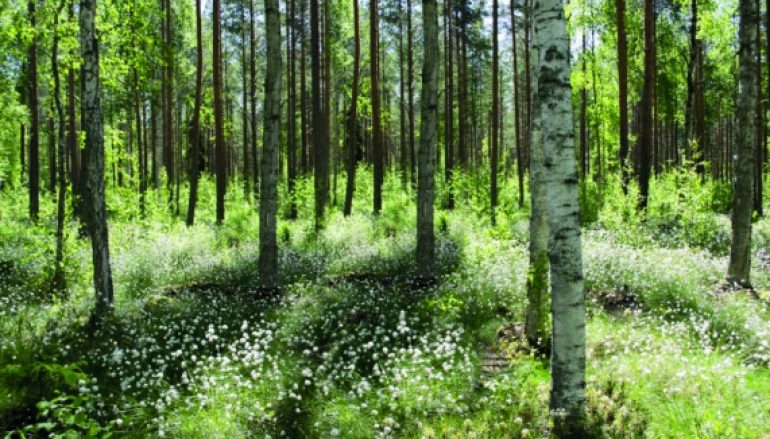 Z zagranicy 15-16/2016