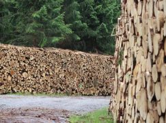 Z zagranicy 13-14/2019