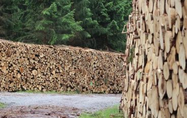 Z zagranicy 13-14/2019