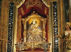 Skarby podkarpackich lasów