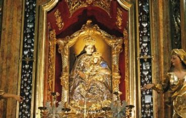 Skarby podkarpackich lasów