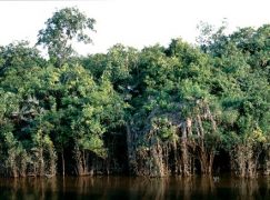 Z zagranicy 15-16/2019