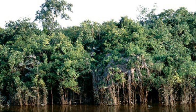 Z zagranicy 15-16/2019