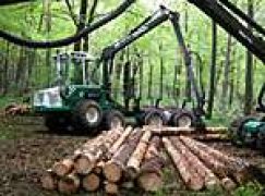 Targi Leśne Rogów 2005