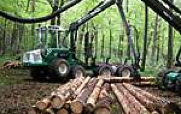 Targi Leśne Rogów 2005